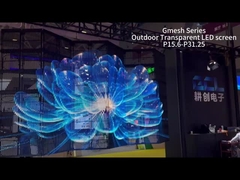 Transparent LED Display