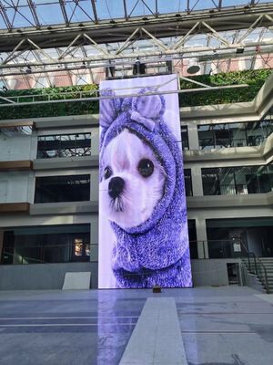 GCL 1000mm Customized Flexible Transparent LED Screen For Indoor Easy Installation