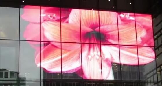 P15.625 SMD3512 LED Outdoor Transparent LED Screen
