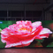 Outdoor P4.81 High Brightness Led Display Screen Cabinet 500*500 Mm For Rental Advertising Led Video Wall